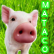 Avatar de Mataco_el22